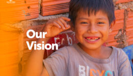 Vision