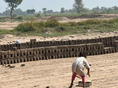 WhatsApp Image 2025-03-31 at 11.50.17 (2)